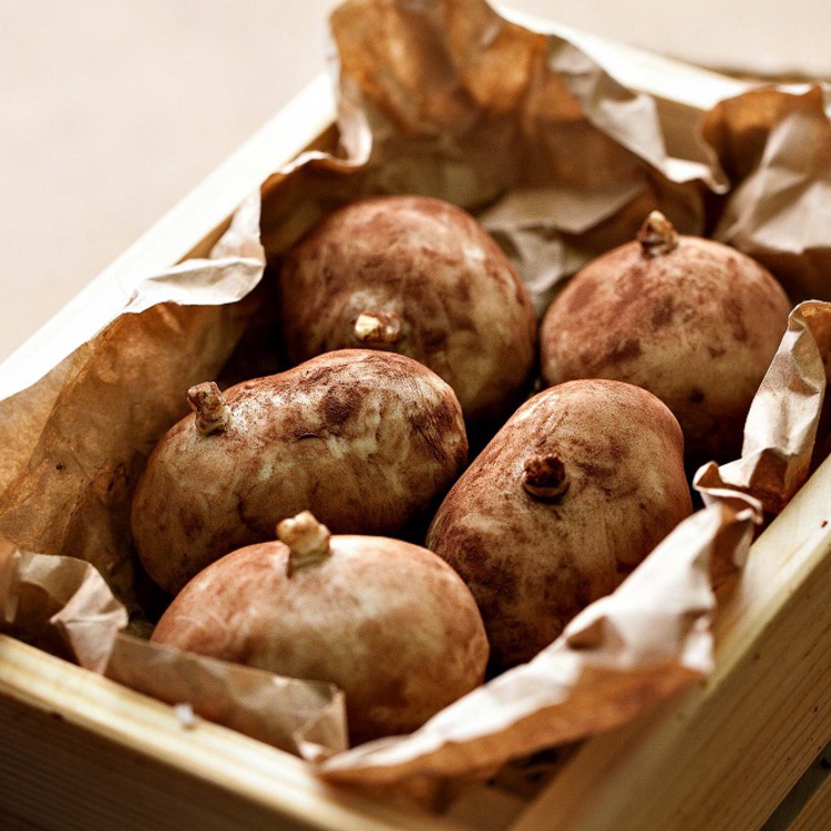 Freshcacao0612 29