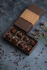 Freshcacao0203 1 3