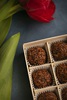 Freshcacao0504 %284%29