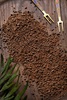 Freshcacao0504 888 %285%29
