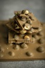 Freshcacao0510 %281%29