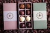 Freshcacao3008 15 1